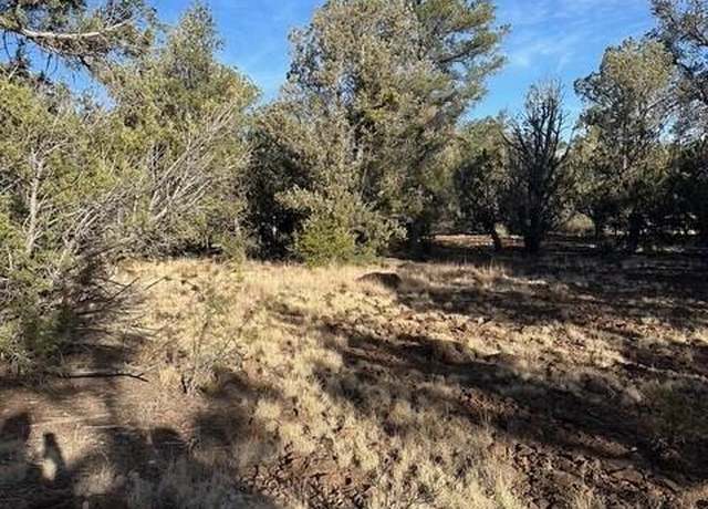 Property at anvil Anvil -- #30111302, Seligman, AZ 86337