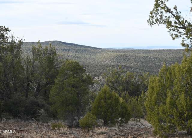 Property at 01 N Edge Ridge Rd #478, Seligman, AZ 86337