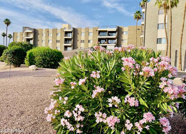 Property at 425 S Parkcrest -- #323, Mesa, AZ 85206, 1 bed, 1 bath