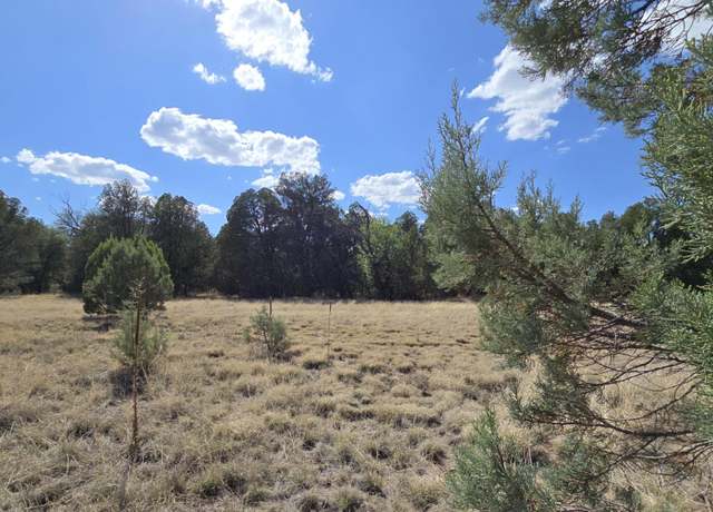 Property at 16E Naegelin Xing Unit 2A, Young, AZ 85554