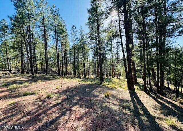 Property at 2549 Pine Valley Rd #681, Happy Jack, AZ 86024