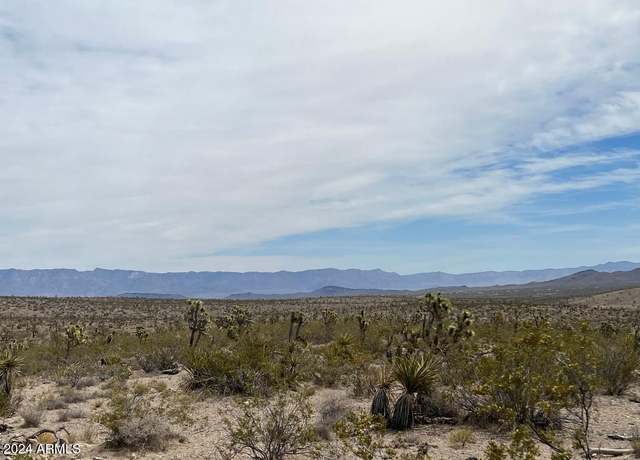 Property at XXXX Unknown -- #94, Dolan Springs, AZ 86441