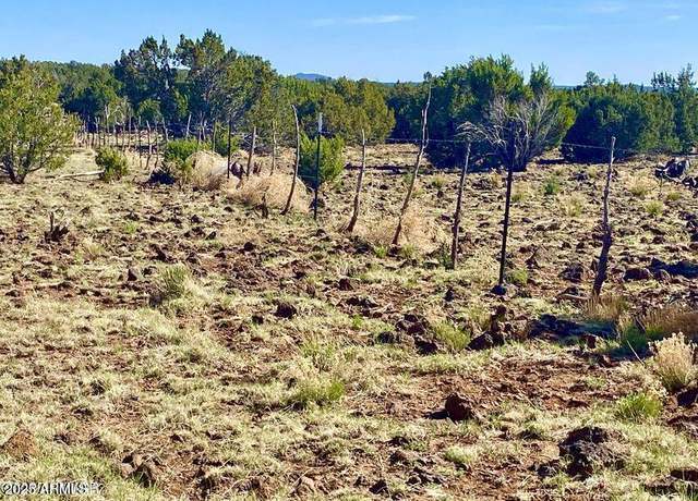 Property at TBD Pioneer Trl 10 Acres -- Unit -, Show Low, AZ 85901