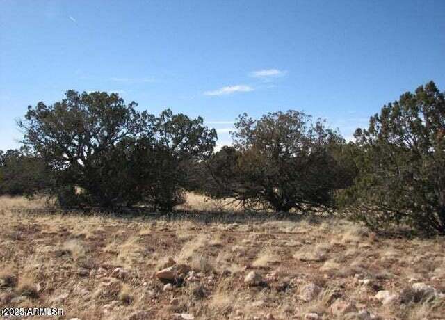 Property at 6251 Dry Pasture Run Lot 216 -- #216, Heber, AZ 85928