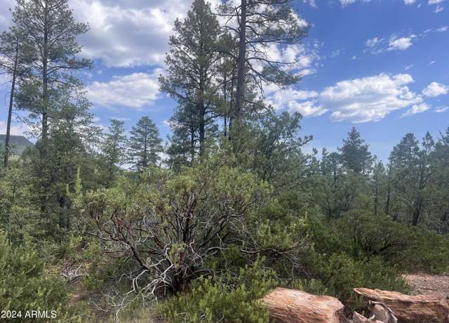Property at 0000 N Mistletoe Lot Q -- Unit Q, Pine, AZ 85544