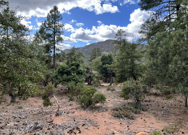 Property at 108 W Ruin Hill Loop #108, Pine, AZ 85544