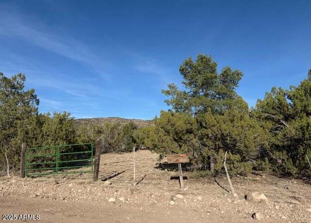 Property at 395xx Kokopelli Trl #732, Seligman, AZ 86337