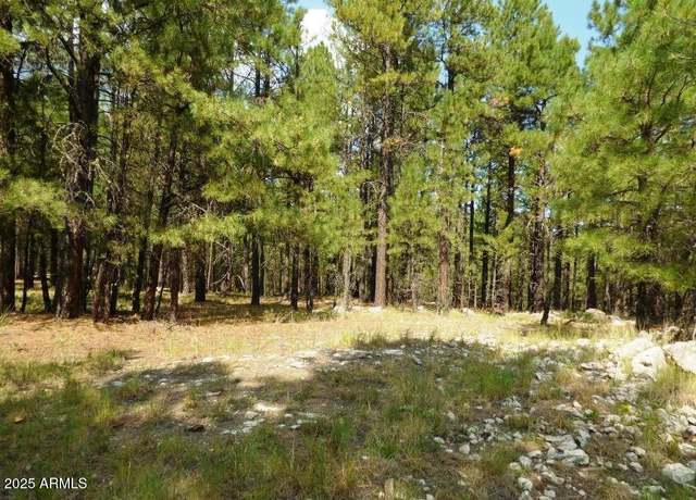 Property at 5131 Forest Service Road 137a -- Unit Prcl40375003A, Happy Jack, AZ 86024