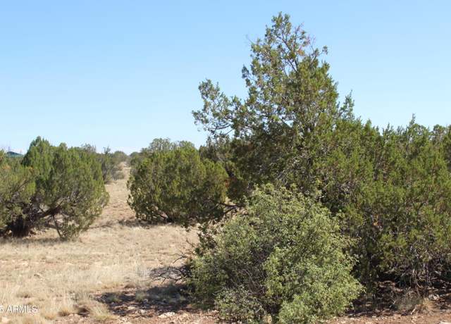 Property at Sec 9 T14n,r16e: Sw4 Nw4 Sw4 -- Unit '-', Heber, AZ 85928