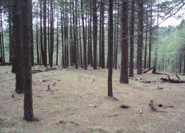 Property at Pcl1&2 Coconino Forest Road 137a -- Unit -, Happy Jack, AZ 86024