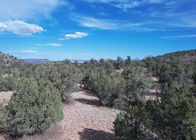 Property at 52471 N Camino Gato -- #2099, Seligman, AZ 86337