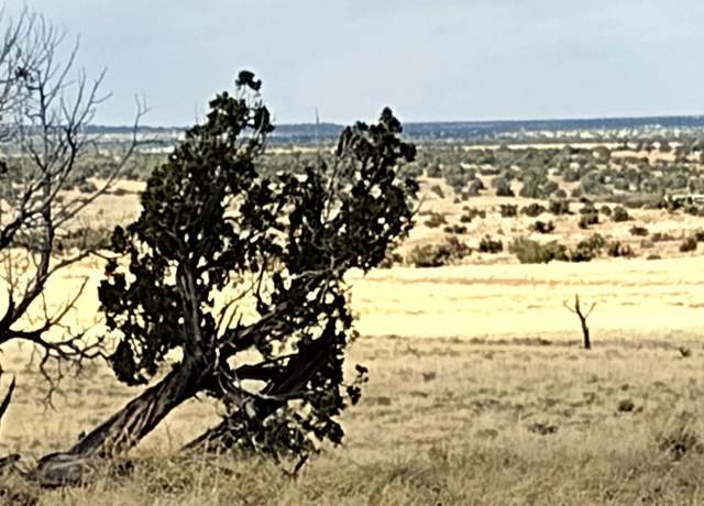 Property at Lot 88 Ranch of The White Mountains -- #088, Concho, AZ 85924