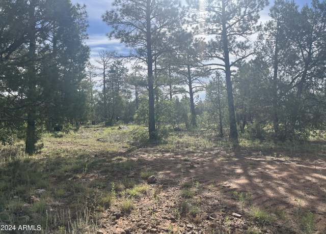 Property at 5509 Red Squirrel Ln #58, Lakeside, AZ 85929