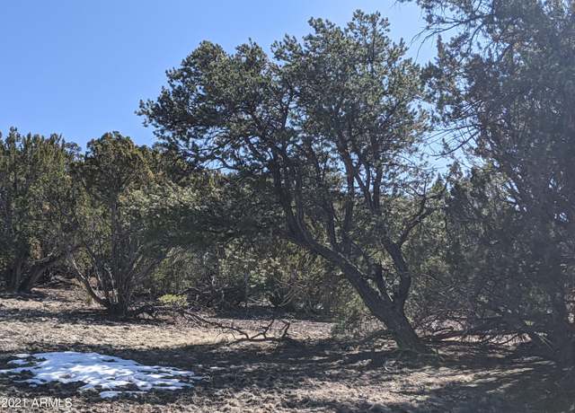 Property at lot 61 Stanford -- #61, Vernon, AZ 85940