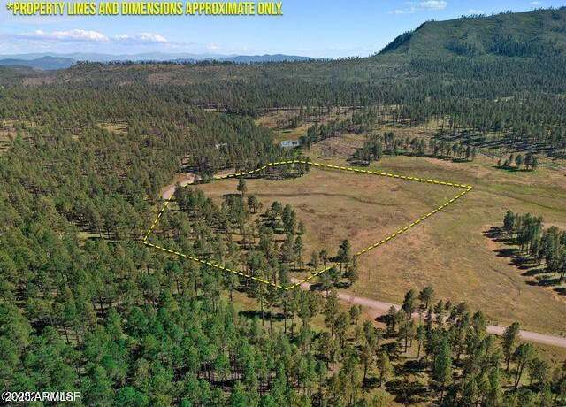 Property at 1A Forest Road 26 -- Unit -, Alpine, AZ 85920