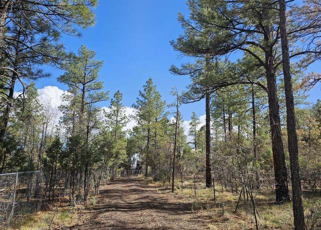 Property at 5449 Herd St, Pinedale, AZ 85934, 3 beds, 2 baths