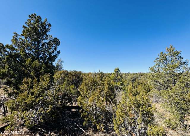 Property at 4108 Sunset Ridge Loop #135, Happy Jack, AZ 86024