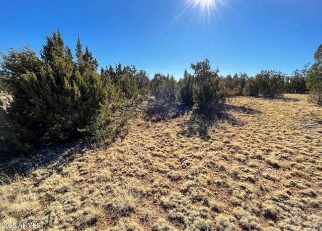 Property at 8371 Haven Crest Dr #230, Happy Jack, AZ 86024