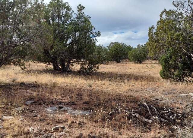 Property at 32369 Ave Bailar -- W #2972, Seligman, AZ 86337