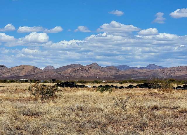 Property at Lot 110 E Calle Entrada -- #110, Douglas, AZ 85607