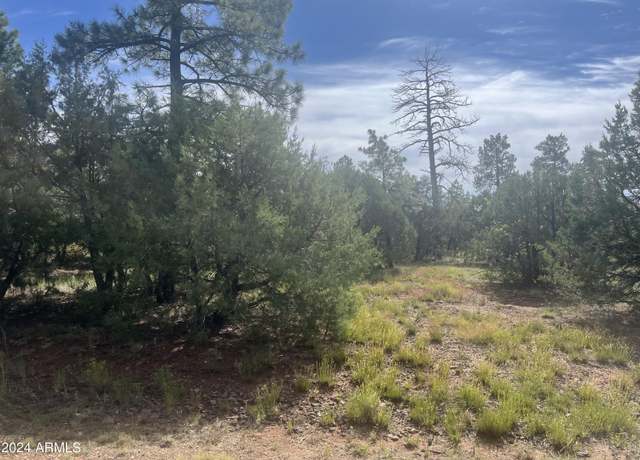 Property at 5455 Red Squirrel Ln #54, Lakeside, AZ 85929