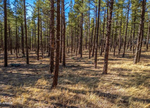 Property at TBD Wilderness Dr Unit 036J, Pinetop-lakeside, AZ 85929