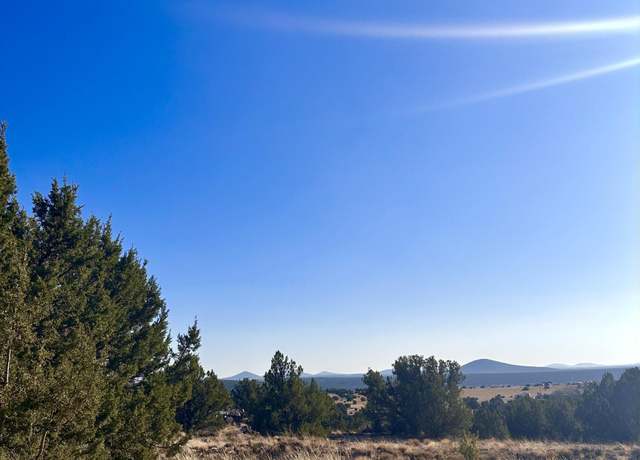 Property at 14 8249 County Rd #038, Concho, AZ 85924