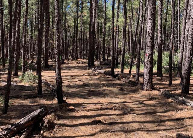 Property at TBD-2 Dynamite Rd Unit '-', Lakeside, AZ 85929