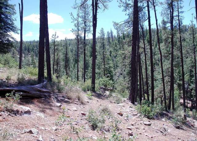 Property at 197 S Antler Cir #103, Payson, AZ 85541