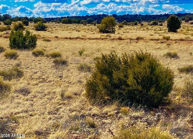 Property at TBD Hyde Park Rd 10 Acres -- Unit -, Seligman, AZ 86337