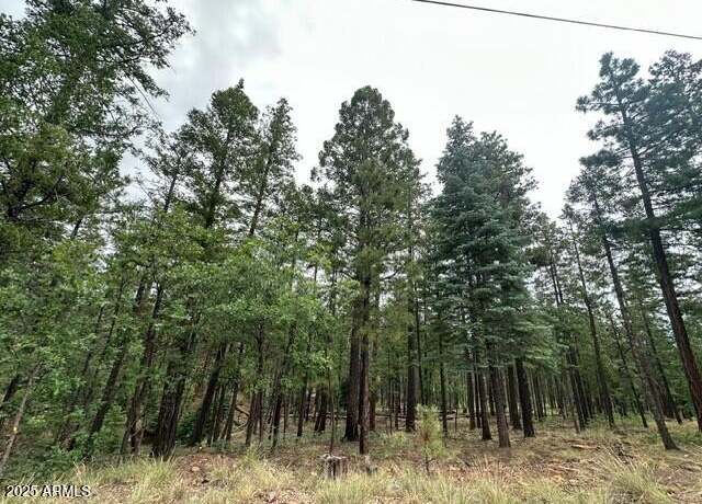 Property at 2076 Buttermilk ln -- #10171052, Alpine, AZ 85920