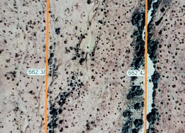 Property at 0 W Wildcat 24 Dr #24, Wittmann, AZ 85361