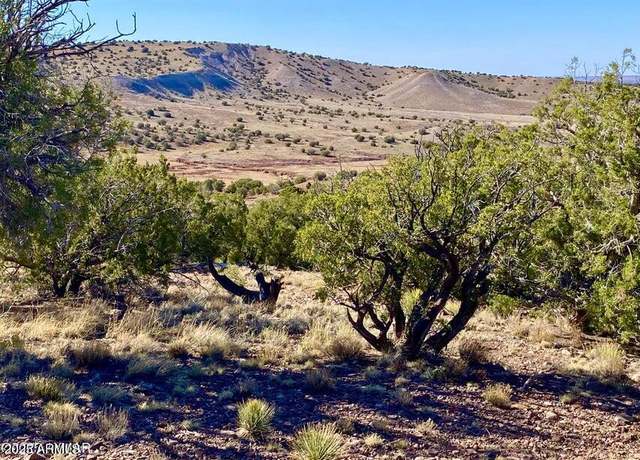 Property at TBD Co Rd 5062 Lot 1 3.53 Acres -- Unit -, Concho, AZ 85924