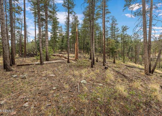 Property at 14 County RD 2074 -- #29, Alpine, AZ 85920