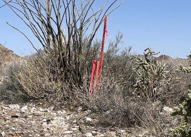 Property at 3246 N Silver Tip Trl #1, Queen Valley, AZ 85118