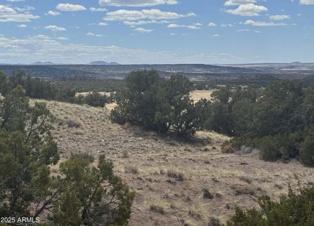Property at 264 S River Springs Ranch Rnch #264, St Johns, AZ 85936