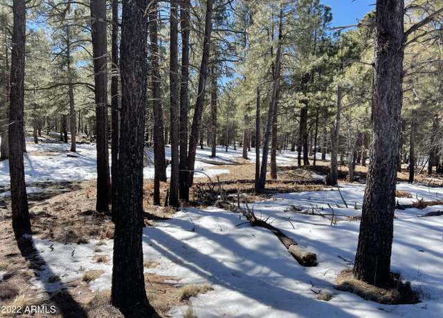 Property at 2692 Az-260 -- #895, Forest Lakes, AZ 85931
