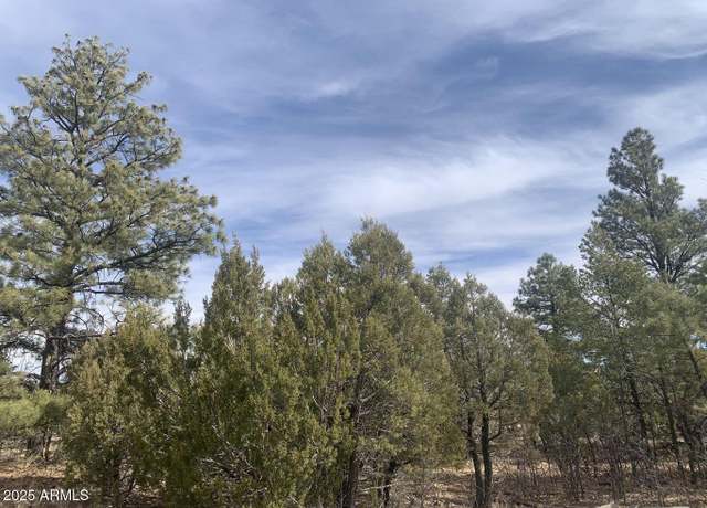 Property at 7785 W Mogollon Trl #161, Happy Jack, AZ 86024