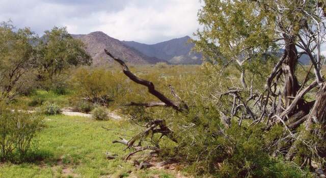 Photo of 0 Vekol -- Unit -, Maricopa, AZ 85139