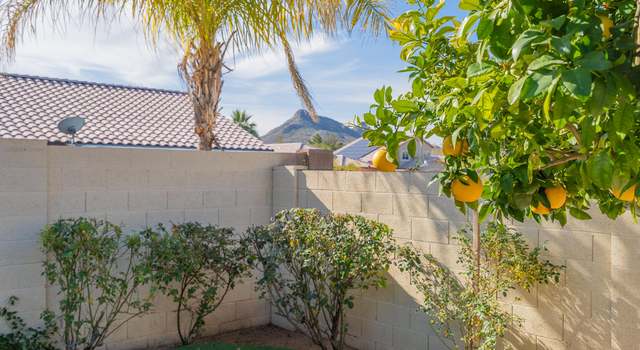 Photo of 2219 E Aire Libre Ave, Phoenix, AZ 85022