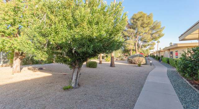 Photo of 14015 N 111th Ave, Sun City, AZ 85351