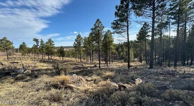 Photo of 806 Eagle View Dr #29, Happy Jack, AZ 86024