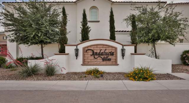 Photo of 1537 E Shannon St, Gilbert, AZ 85295