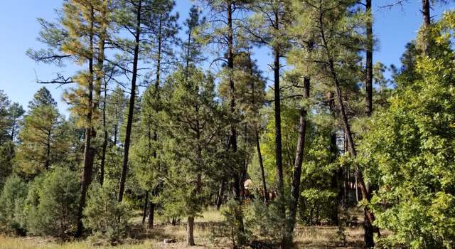 Photo of 868 LITTLE BEAR Loop #17, Lakeside, AZ 85929