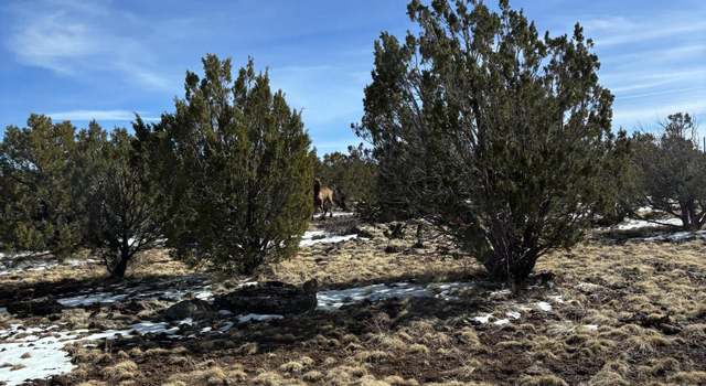 Photo of 1632 Vernon Mcnary Rd #20, Vernon, AZ 85940