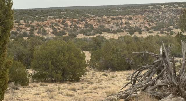 Photo of Lot 13 Witch Well Ranches -- #13, St Johns, AZ 85936