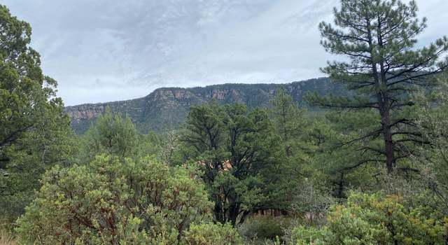 Photo of 186 N Trails End Dr #186, Pine, AZ 85544