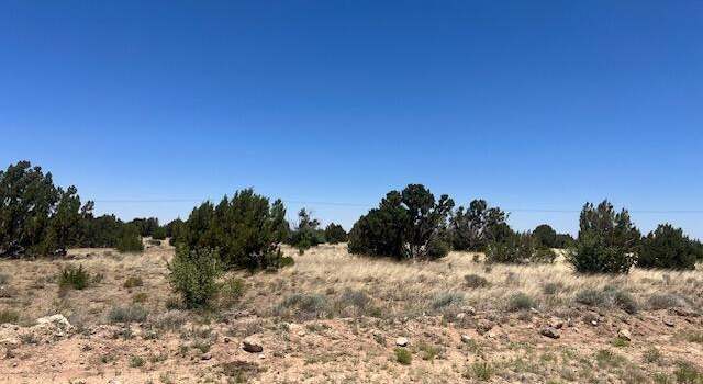 Photo of tbd Windsor Valley Ranch Dr #108, Concho, AZ 85924