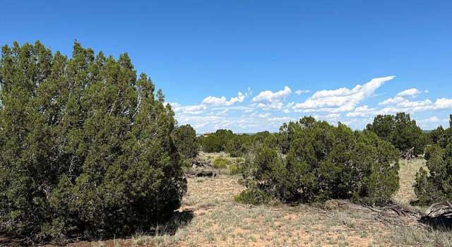 Photo of TBD Katie Lane --, St Johns, AZ 85936