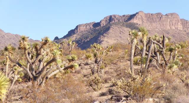Photo of 17096 N Manor Dr #451, Dolan Springs, AZ 86441